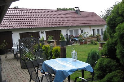 Spreewaldfrosch