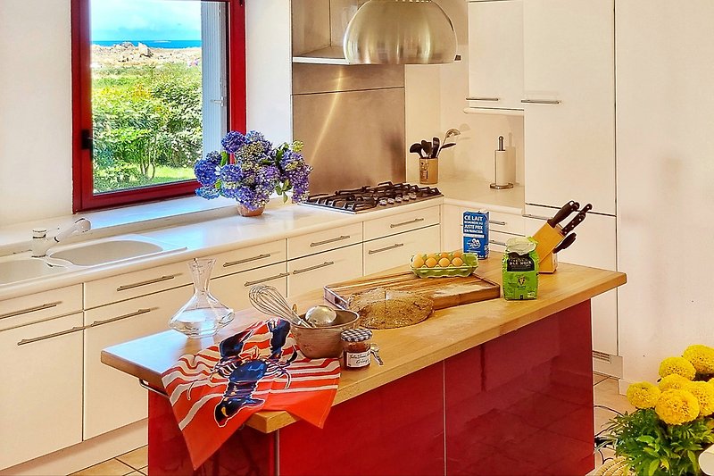 Herragend ausgestattete Küche: Küchenmaschine mit WLAN-Zugang, Raclette, Sodastream, Pizzaofen, etc.