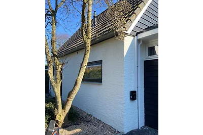 Heerlijk vrijstaand huis aan duinen