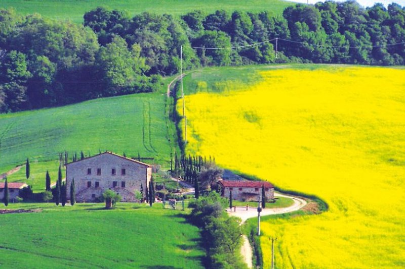 Ferienhaus Torrita zur Rapsblüte