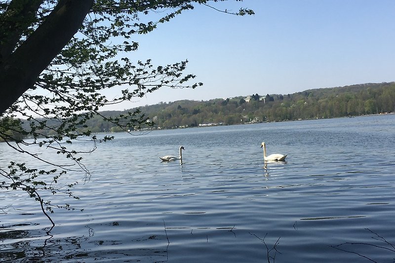 Baldeneysee