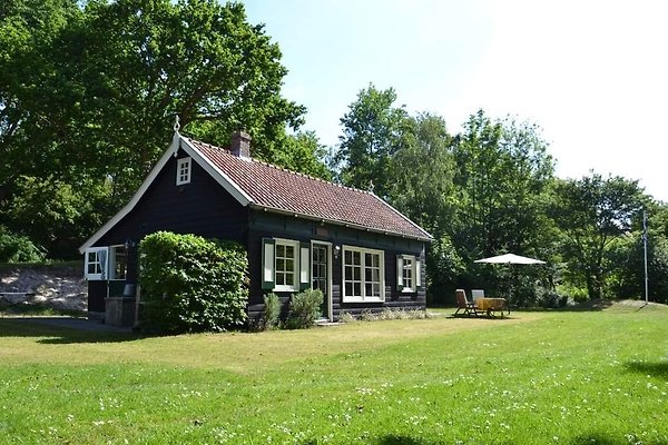 Ferienhaus Vrouwenpolder