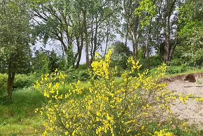 Duinrust, Vrouwenpolder, Zeeland