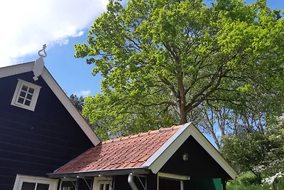 Duinrust, Vrouwenpolder, Zeeland