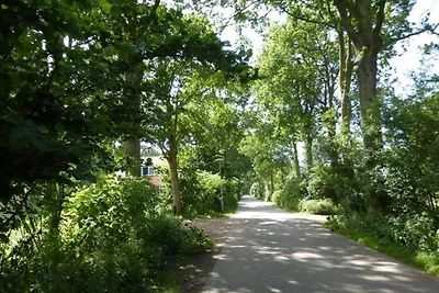 Duinrust, Vrouwenpolder, Zeeland