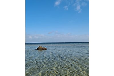 Ostsee-Fewo Stein mit Meerblick