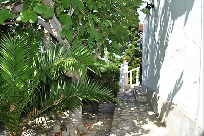 Casa MiMa