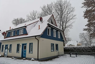 Ferienhaus "Muschelsucher"
