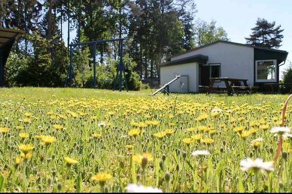 Ferienhaus Plau am See
