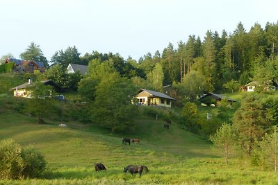 Charmantes Ferienhaus, Strandzugang