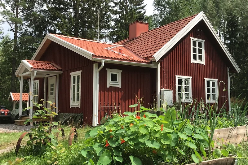 Gartensicht zum Haus