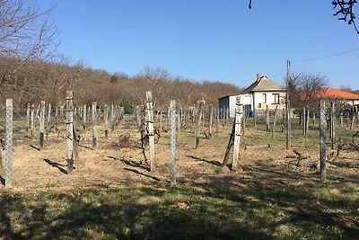 Casa vacanze di charme con ampio giardino