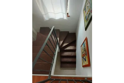 Apartment Marijana