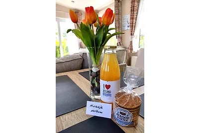 Chalet Renesse De Oase Q42