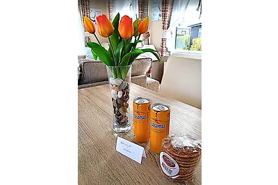 Chalet Renesse De Oase Q42
