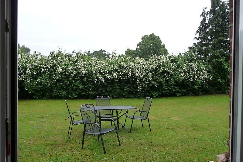 Garten im Juni