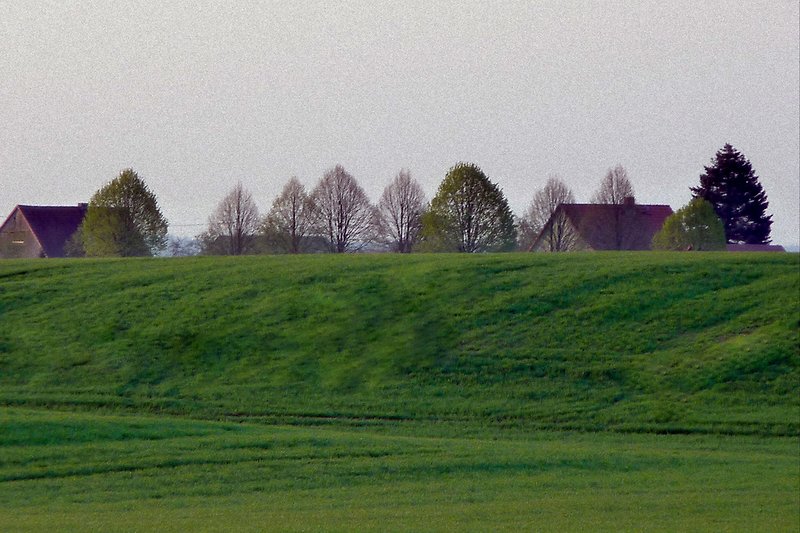 Landschaftsdetail