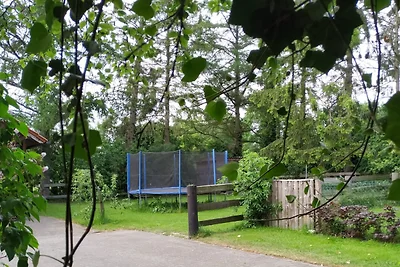 Ferienhaus Landidylle Haren