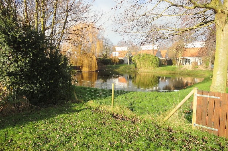 Der Garten grenzt auf der Rückseite an einen Teich