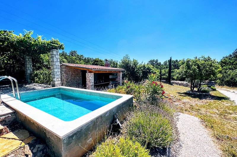 Schwimmbad mit blauem Wasser, umgeben von Pflanzen und natürlicher Landschaft.