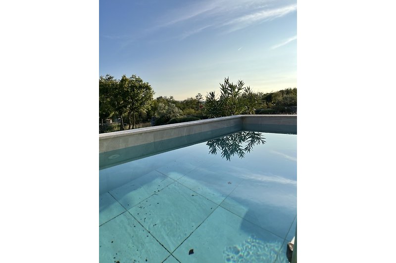 Schwimmbad umgeben von Pflanzen und blauem Himmel