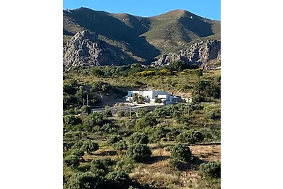 Spiti99