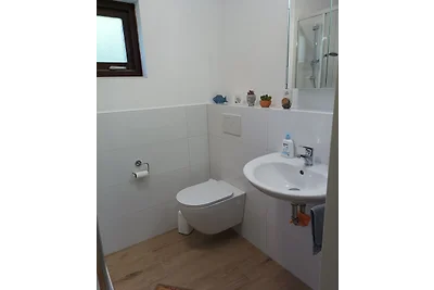 Ferienhaus Schouwse Duin 16