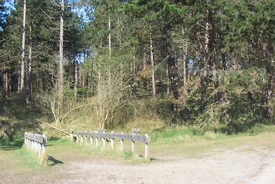 Ferienhaus Schouwse Duin 16
