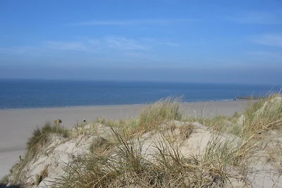 Ferienhaus Schouwse Duin 16
