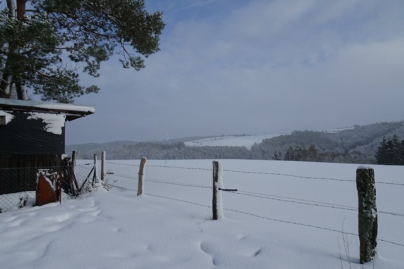 Winter-Wiesenblick