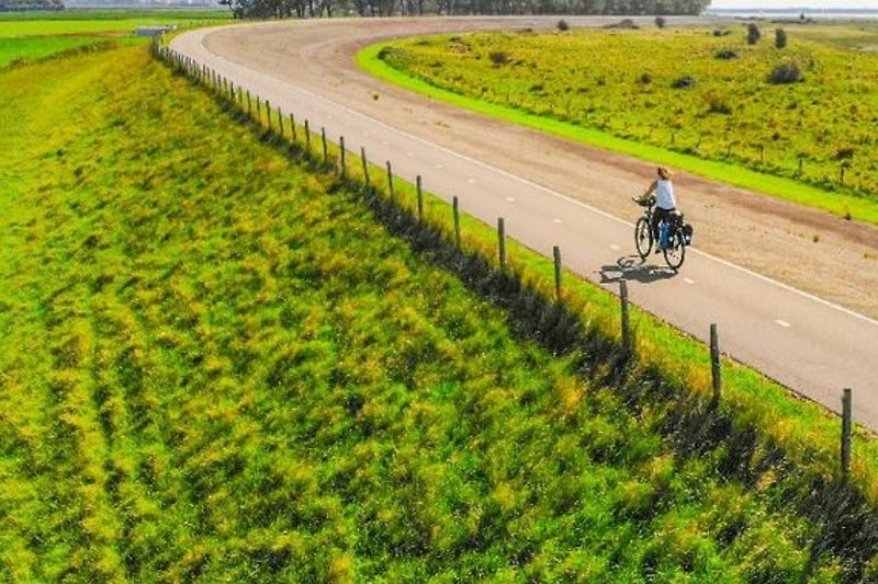 Die Insel Goeree Overflakkee eignet sich sehr zum Radfahren und verfügt über ein umfangreiches Radnetz!