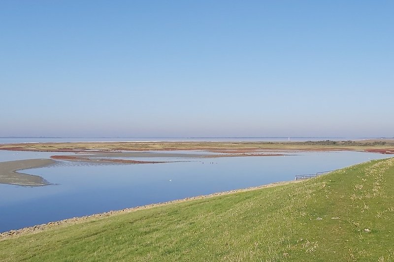Blick auf den Slikken van Flakkee, ein wunderschönes Naturschutzgebiet, das sich im Polder von Herkingen befindet.