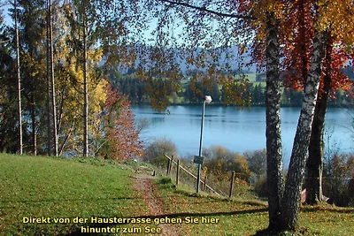 Ferienhaus Lechseeferien