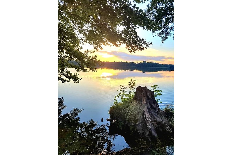 Wunderschöne Naturlandschaft mit See, Wald und Sonnenuntergang. Perfekt für einen erholsamen Urlaub.