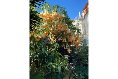 Villa El Rêve Javea