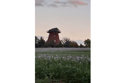 Vakantiehuis Neukalen aan het Kummerowmeer