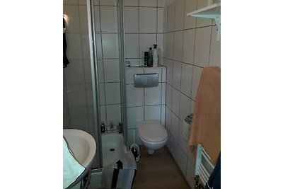 Ferienhaus Wacholder