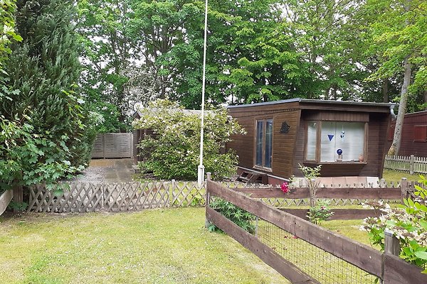 Ferienhaus Altefähr