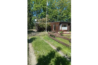 Bungalow mit Sund Blick Hund erl.