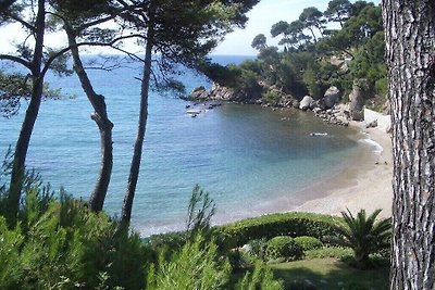 Le Pradet,Côte Azur,Edenpark,Ipomée