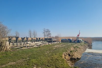 Urlaub mit Hund am Achterwasser