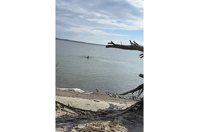 Urlaub mit Hund am Achterwasser