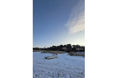Urlaub mit Hund am Achterwasser