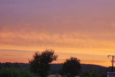 Urlaub mit Hund am Achterwasser