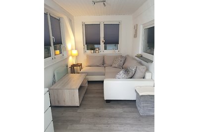 Birkenwäldchen |/13