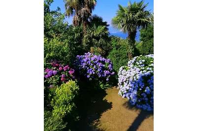 Bella Vista