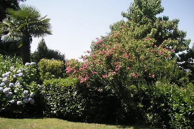 Bella Vista