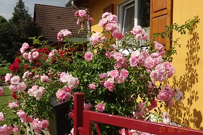 Ferienhaus "Sonnenschein"