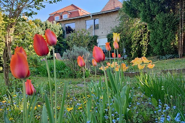 Ferienwohnung Röbel Müritz