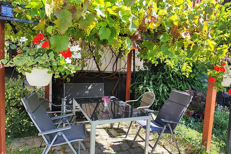 Gemütliche Sitzecke  auf dem Hof mit blühenden Pflanzen und Gartenmöbeln.